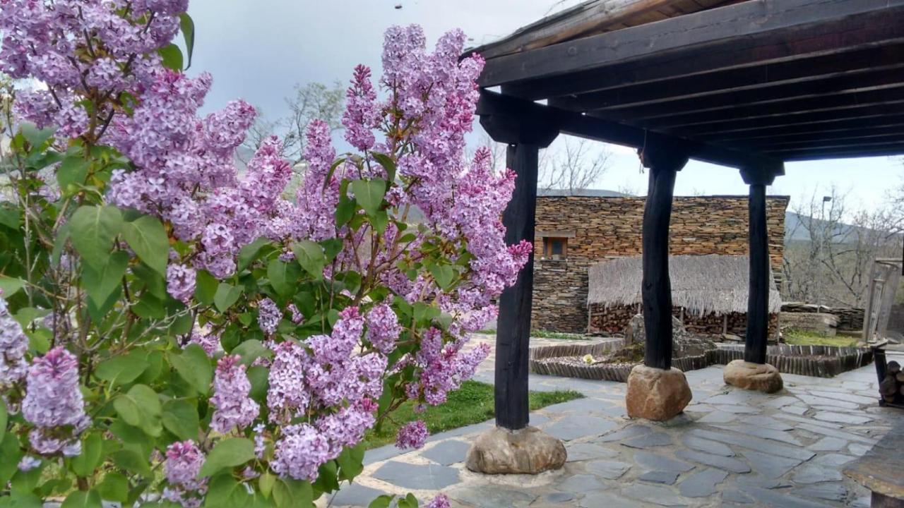 La Era De La Tia Donata Konuk evi Campillo de Ranas Dış mekan fotoğraf